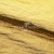 Текстильный материал "Диско"#1805 с покрытием РЕТ, 40гр/м2, 100% полиэстер, цв.5-золото - купить в Нальчике. Цена 412.36 руб.