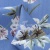 Плательная ткань "Фламенко" 12.1, 80 гр/м2, шир.150 см, принт растительный - купить в Нальчике. Цена 241.49 руб.
