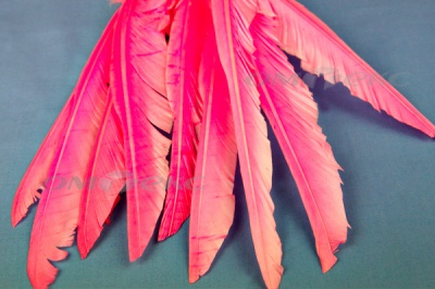 Декоративный Пучок из перьев, перо 25см/розовый - купить в Нальчике. Цена: 14.40 руб.