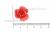 Украшение "Розы малые №1" 20мм - купить в Нальчике. Цена: 32.49 руб.