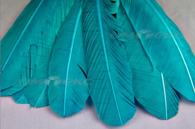 Декоративный Пучок из перьев, перо 24см/голубой - купить в Нальчике. Цена: 12.19 руб.