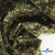 Ткань костюмная «Микровельвет велюровый принт», 220 г/м2, 97% полиэстр, 3% спандекс, ш. 150См Цв  #9 - купить в Нальчике. Цена 439.76 руб.