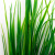 Трава искусственная -2, шт (осока 41см/8 см)				 - купить в Нальчике. Цена: 104.57 руб.