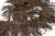 008-коричневый, Бахрома арт.001 шир.10см (упак.12+/-0,5м) - купить в Нальчике. Цена: 1 017.33 руб.
