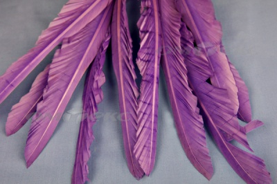 Декоративный Пучок из перьев, перо 25см/фиолетовый - купить в Нальчике. Цена: 12.19 руб.