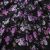 Плательная ткань "Фламенко" 20.1, 80 гр/м2, шир.150 см, принт растительный - купить в Нальчике. Цена 241.49 руб.