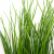 Трава искусственная -4, шт  (осока 50 см/8 см  7 листов)				 - купить в Нальчике. Цена: 130.73 руб.