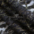 Кружевное полотно XD LACE 1-4, 80 гр/м2, шир.150см, цвет чёрный - купить в Нальчике. Цена 245.94 руб.